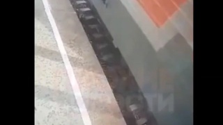 Well Trained Indians