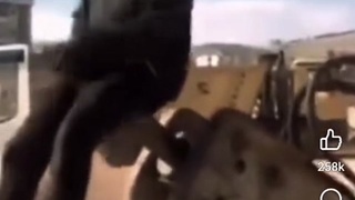 Digger digger