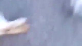 Literally Bugs fucking bunny