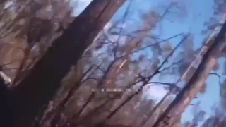 Raw combat footage