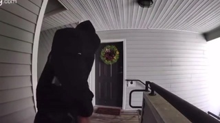 Shoot Or Be Shot