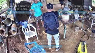 FARC Members Shot Dead A Mine Manager