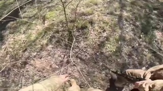 Ukrainian army execute one of their own