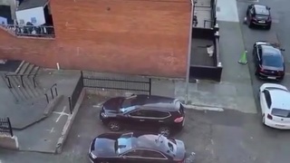 Dipshit