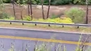 flood