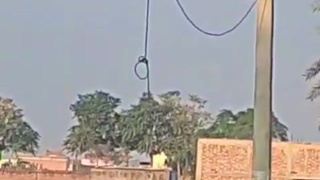 Indian pole dancer