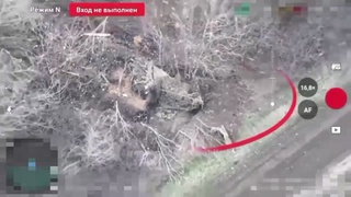 can run, can't hide, can't survive