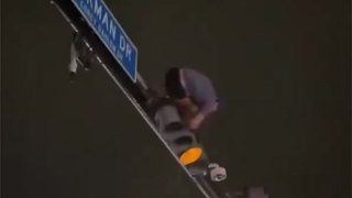 Gators Fan Falls After Climbing Traffic Light
