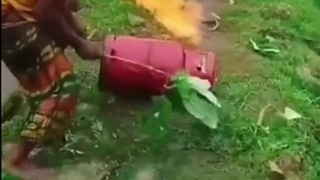 Indians are the dumbest