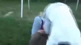 nads denolished