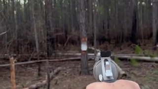 Taurus Magnum Revolver