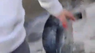 accident in Argentina and fight