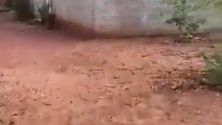 Cheating Husband Caught Out