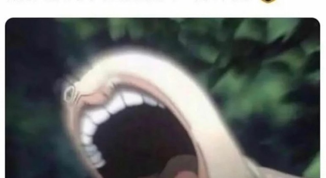 Fuck This Pussy