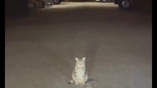 Burf spotted in Mexico
