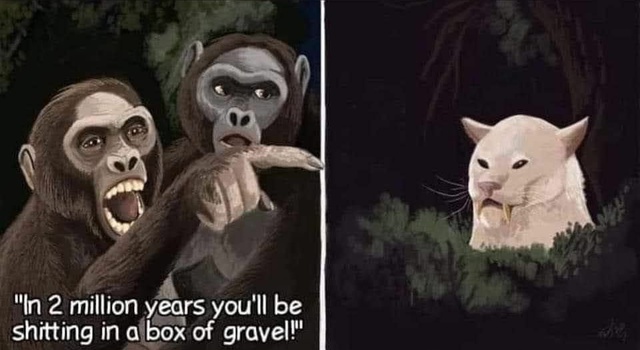 Shit