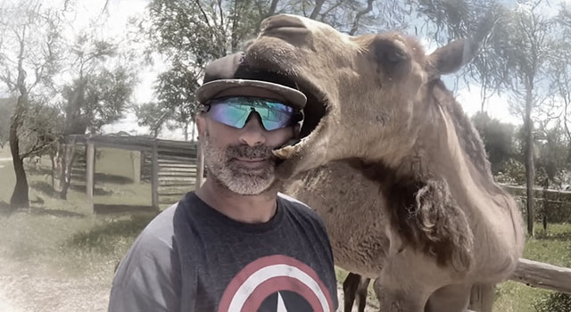 ANIMALS FUCKING HATE US: VOLUME 240