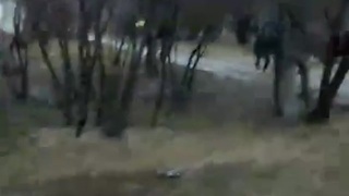 Russian predator gets his ass whopped