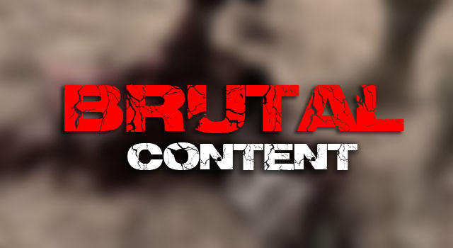BRUTAL MASHUP MADNESS