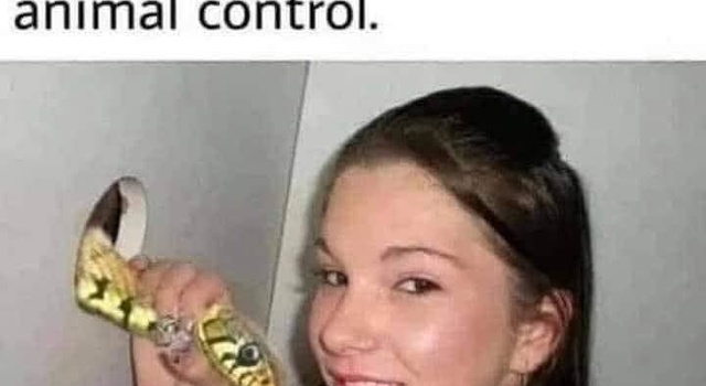 Catch A Snake