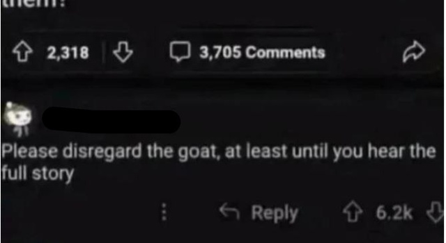 Please Ignore The Goat