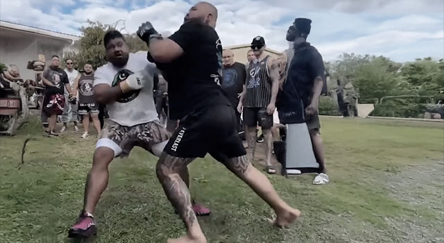 FIGHTING FRIDAYS #395