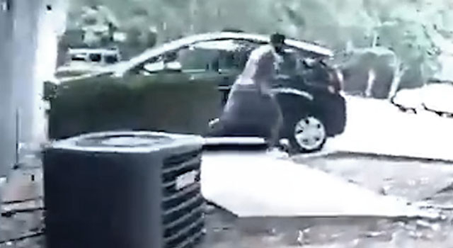 MEANWHILE, A FLORIDA MAN ...