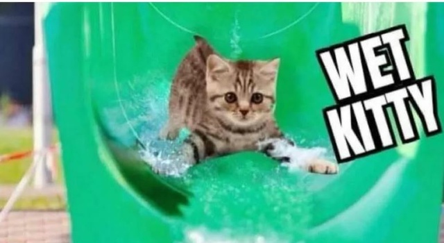 Totally Wet