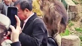 Zoo visitor gets face bittern.