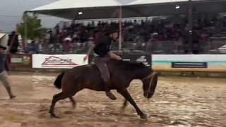 Horse backflip KO’s rider