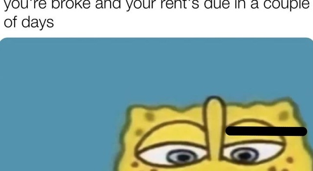 Pay Your Rent