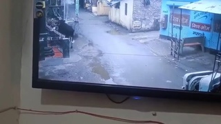 Cow steals scooter