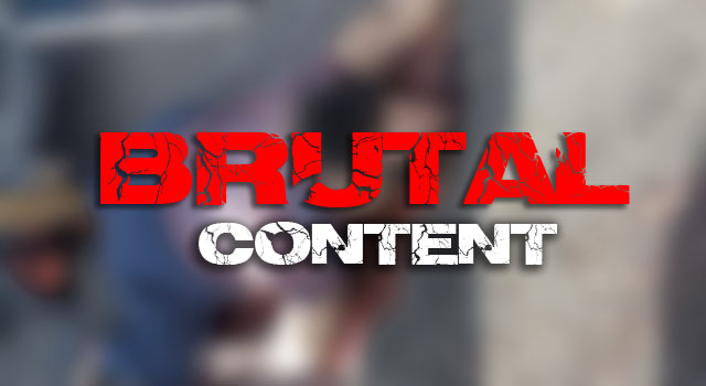 BRUTAL MASHUP MADNESS