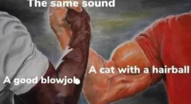 The Same Sound