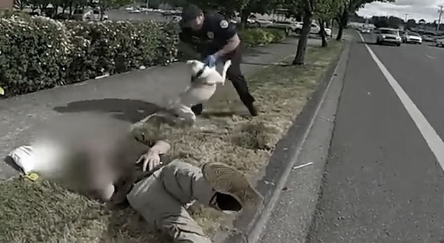 ANIMAL CRUELTY