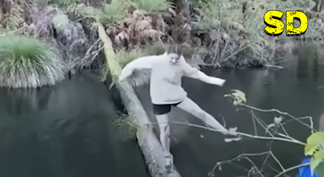 19  PEOPLE DEFINITELY HAVING A SHITTIER DAY THAN YOU