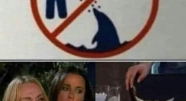 Just Don't Touch Them