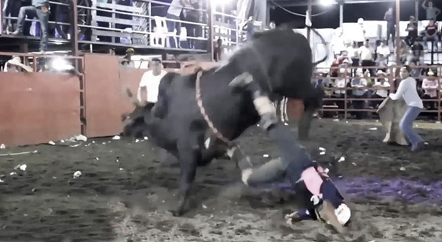 ANIMALS FUCKING HATE US: VOLUME 244