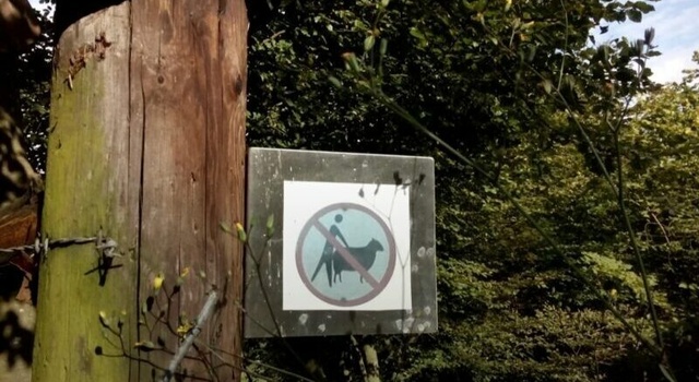 welcome to new zealand