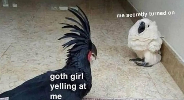 Keep Yelling