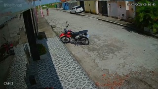 Slaughter in the street