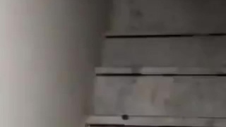Animals HATE US! Indoor NIGHTMARE.....