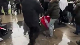 Integrated Immigrants