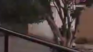 Impersonating a police car
