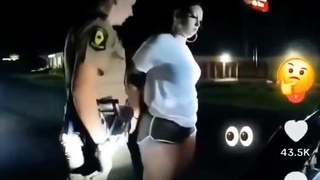 Illinois State Police Pussy Checkpoint