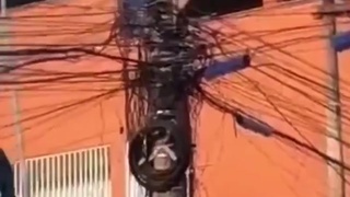 Human Tesla Coil