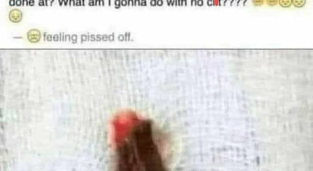 This is for all the haters