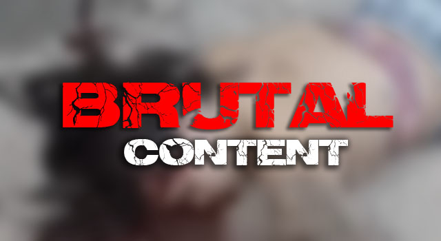 BRUTAL MASHUP MADNESS