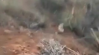Woman Burns Alive In Her Car