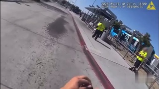 Boom - headshot. (Dog is OK)